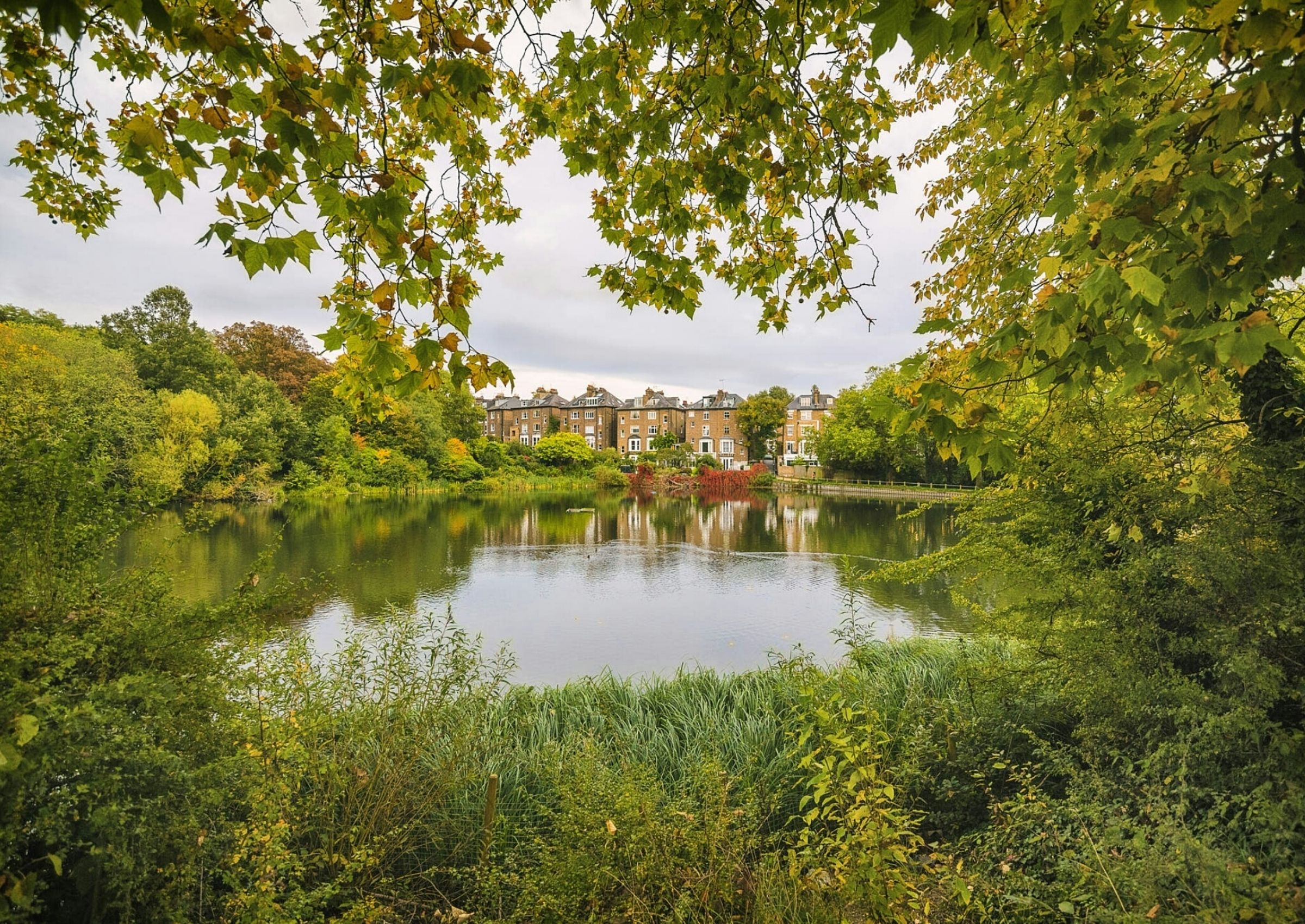 Hampstead Heath Park, London
