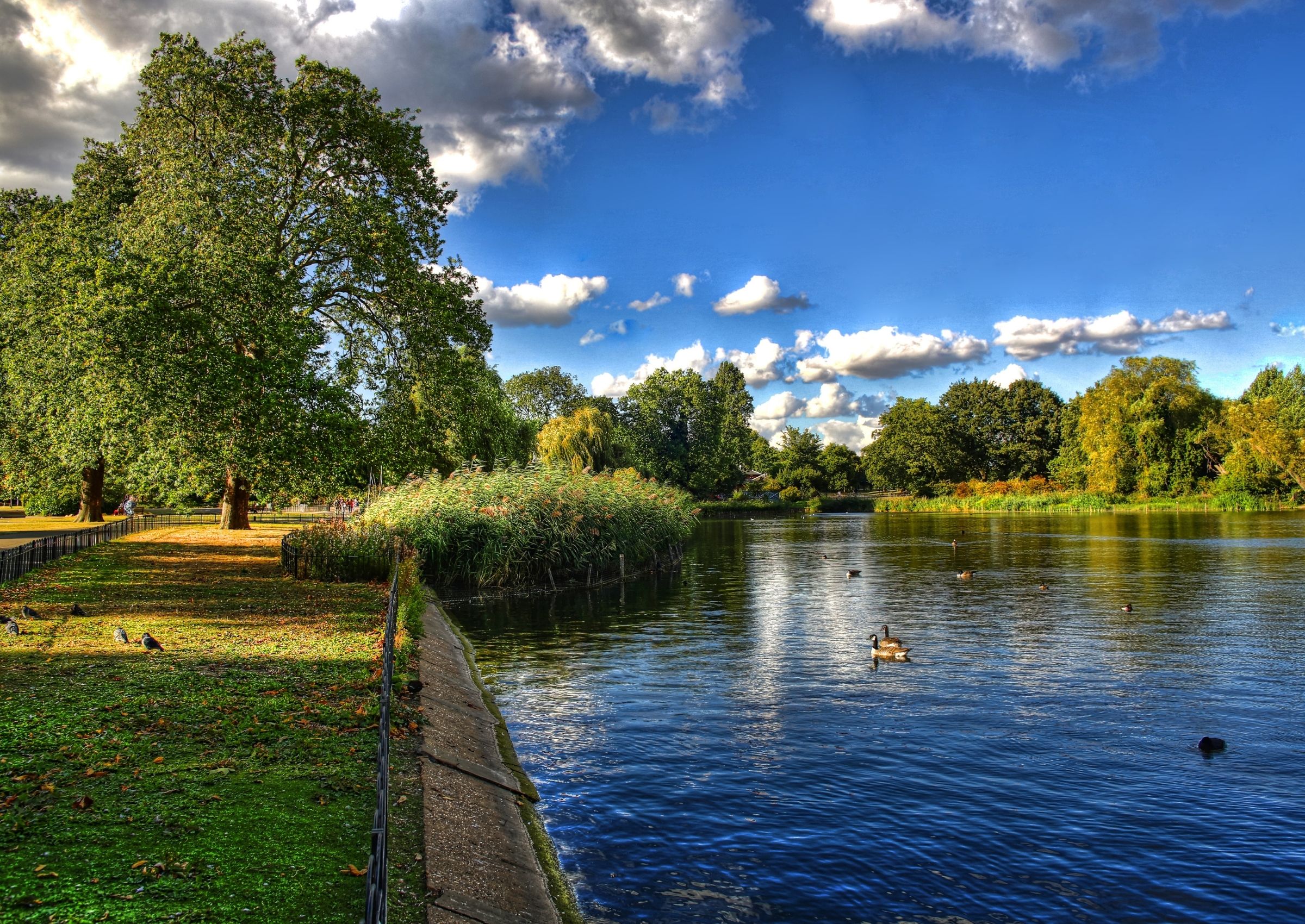 Regents Park London Green Space